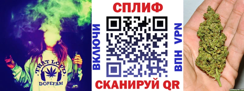 где найти   Кострома  Бошки Шишки Amnesia 